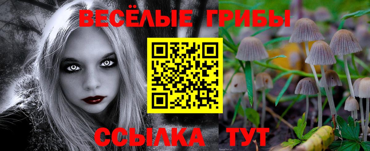 Псилоцибиновые грибы MAGIC MUSHROOMS Ижевск