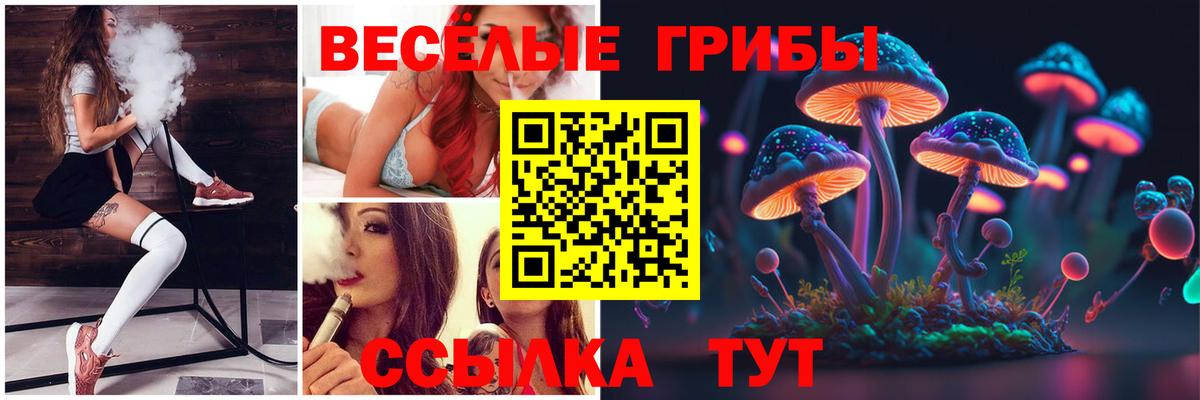 Ижевск  Галлюциногенные грибы мицелий  Вход с VPN  Псилоцибиновые грибы мицелий 
