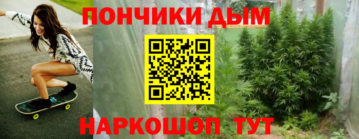 Канабис гибрид  Бошки Шишки OG Kush  Ижевск  Бошки марихуана планчик  Вход с VPN 